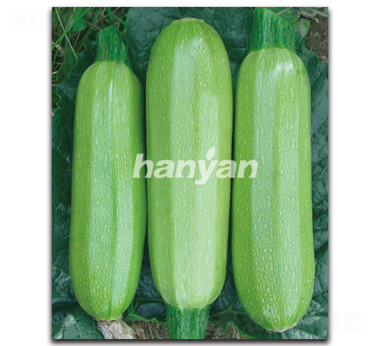 �h����̖-�����J�N��-�h��