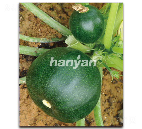 �h�@����-�����J�N��-�h��