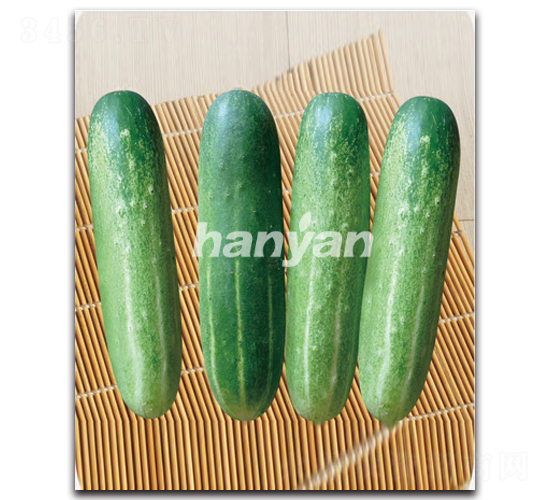 漢吉二號(hào)-黃瓜種子-漢研