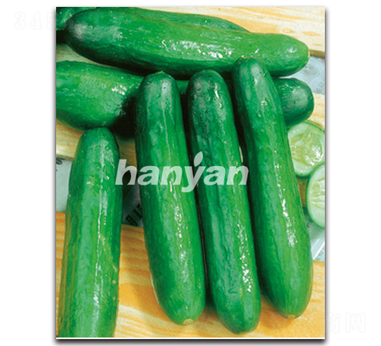 漢研迷你7號(hào)-黃瓜種子-漢研