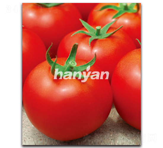 �hӯ��̖-���ѷN��-�h��