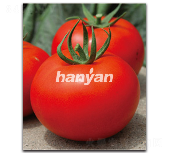 �hӯ��̖-���ѷN��-�h��