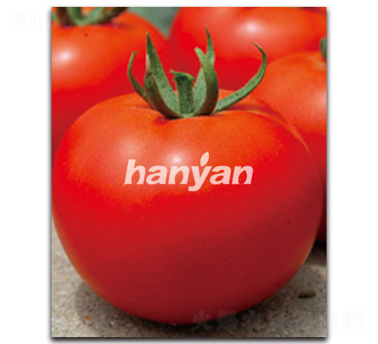 �hӯ��̖-���ѷN��-�h��