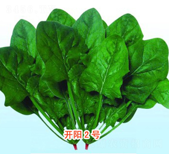 �_�2̖(h��o)-���˷N��-���N