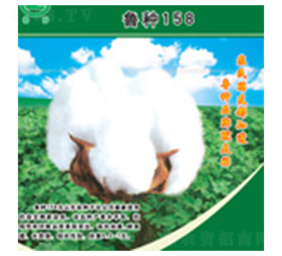 ���N158-�޻��N��-���N