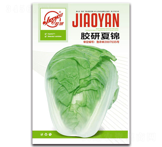 膠研夏錦-夏播白菜種子-膠研