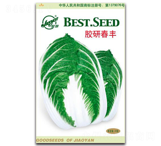 膠研春豐-春播白菜種子-膠研
