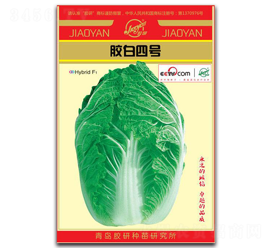 �z����̖(h��o)-�����ײ˷N��-�z��