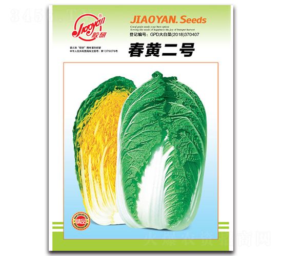 春黃二號(hào)-春播白菜種子-膠研