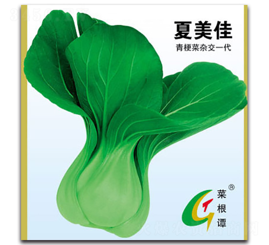 ������-�๣�˷N��-�����N�I(y��)