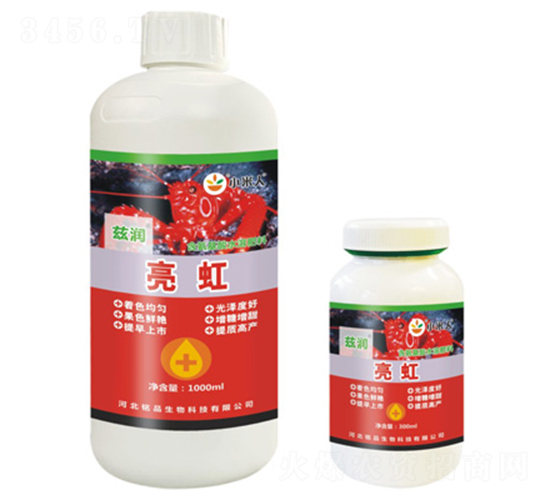 ����-Ɲ��-�Ʒ����