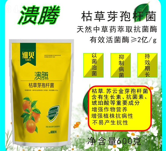 �ݲ�ѿ�ߗU��-���v-������