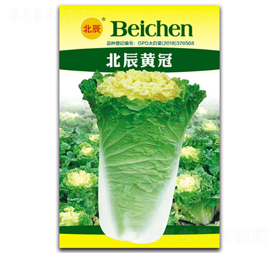 �����S��-��ײ˷N��-�����N�I(y��)