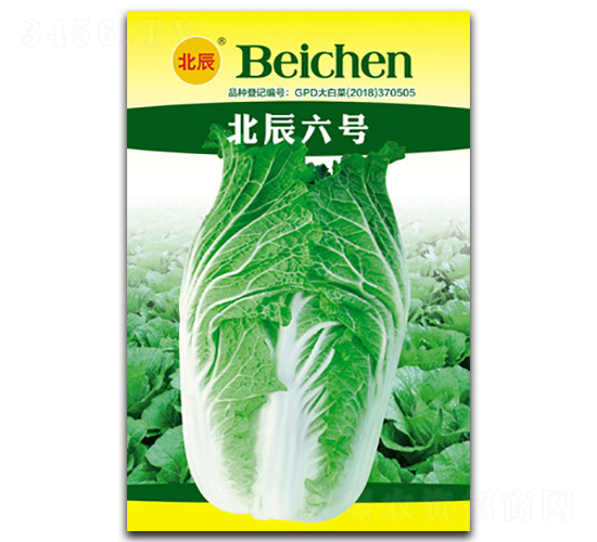 ������̖-��ײ˷N��-�����N�I(y��)