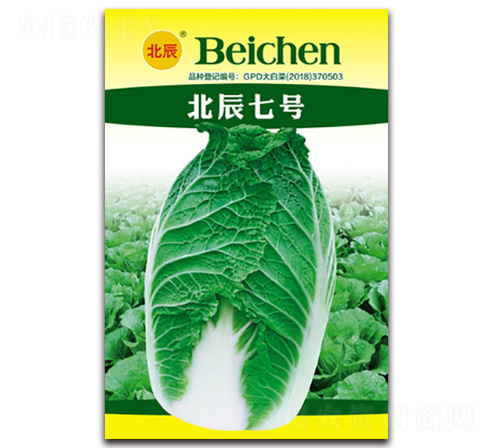 ������̖(h��o)-��ײ˷N��-�����N�I(y��)