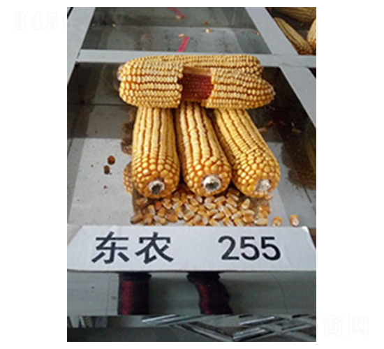 �|�r(n��ng)255-���׷N��-�а��r(n��ng)�I(y��)