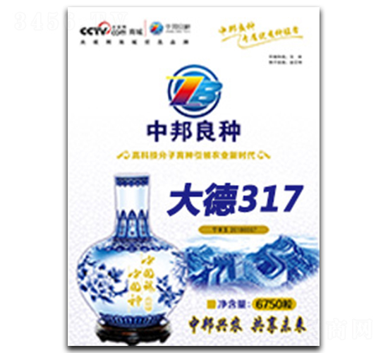 大德317-玉米種子-中邦農(nóng)業(yè)