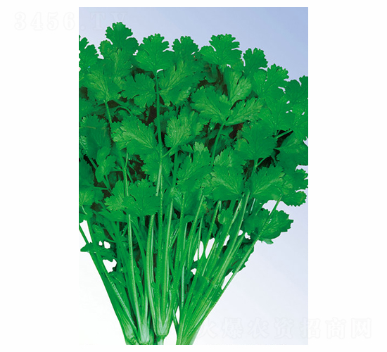 �������-ܾݴ�N��-��ɷN�I(y��)