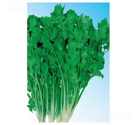 ��������-ܾݴ�N��-��ɷN�I(y��)