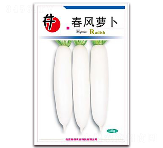 �����}��-�}���N��-�����r(n��ng)�I(y��)