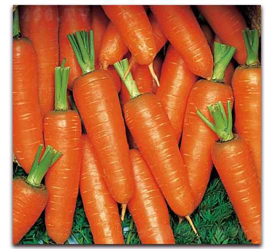 �º���������ϵ-���}���N��-�����r(n��ng)�I(y��)