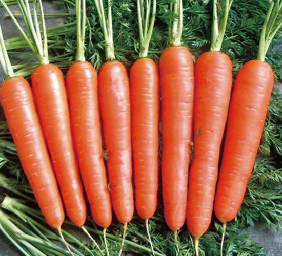 ̩ɽ��̖-���}���N��-�����r(n��ng)�I(y��)