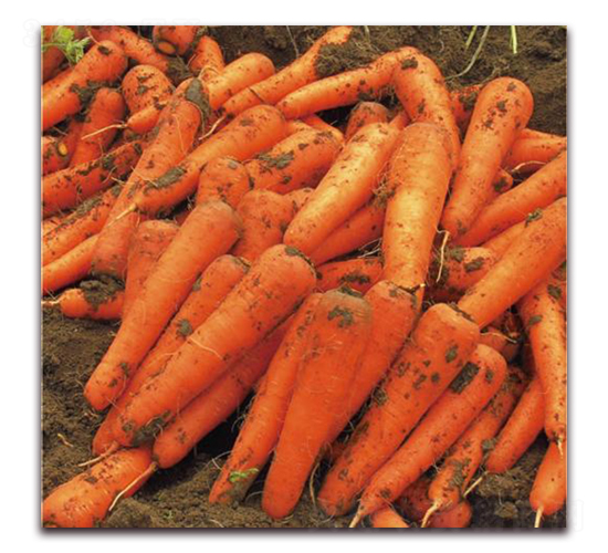 �tӳ��̖-���}���N��-�����r(n��ng)�I(y��)