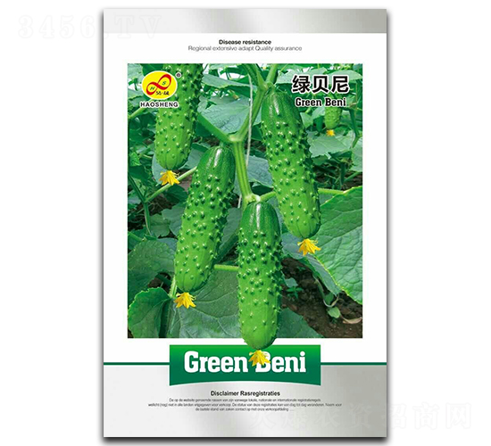 綠貝尼-黃瓜種子-昊晟種業(yè)
