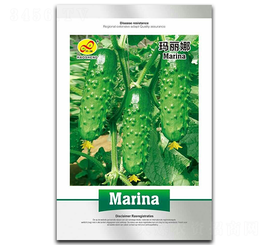 瑪麗娜-黃瓜種子-昊晟種業(yè)