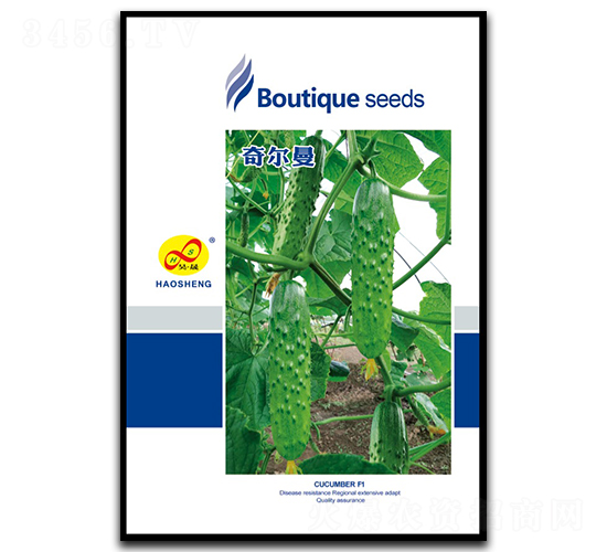 奇爾曼-黃瓜種子-昊晟種業(yè)