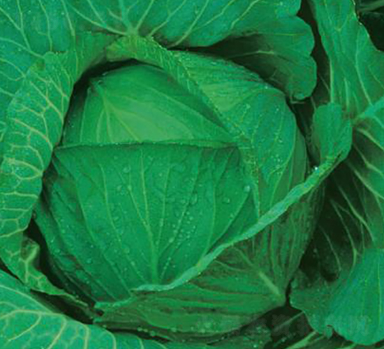 ������̖-���{�N��-�����r(n��ng)�I(y��)