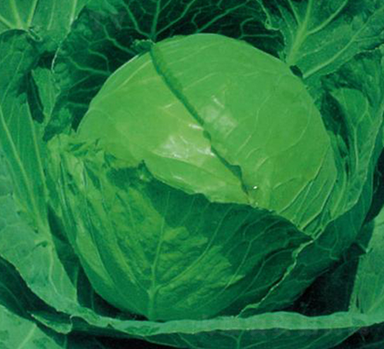 ����60-���{(l��n)�N��-�����r(n��ng)�I(y��)