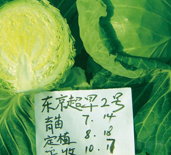 �|������2̖(h��o)-���{(l��n)�N��-�����r(n��ng)�I(y��)