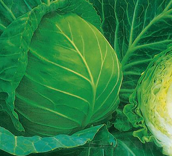 KAG-703-���{(l��n)�N��-�����r(n��ng)�I(y��)