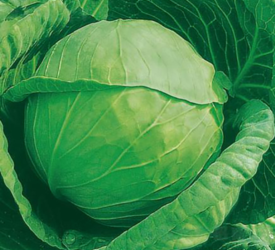 KAG-91-���{(l��n)�N��-�����r(n��ng)�I(y��)