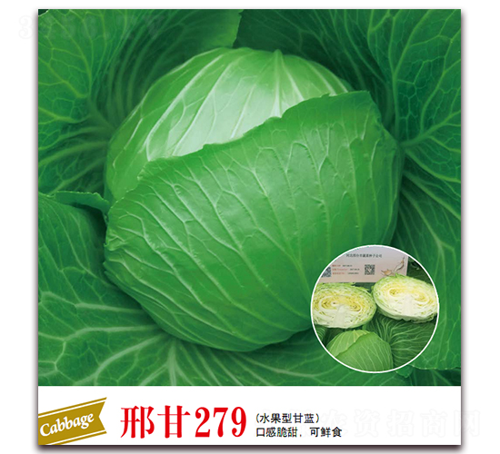 �ϸ�279-���{(l��n)�N��-����