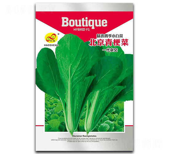 �����๣-�๣�˷N��-��ɷN�I(y��)