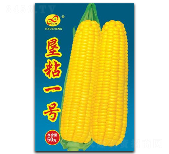 ��ճһ̖(h��o)-Ŵ���׷N��-��ɷN�I(y��)