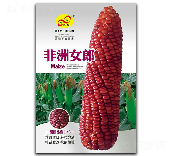 ����Ů��-Ŵ���׷N��-��ɷN�I(y��)