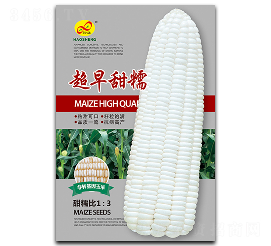 超早甜糯-糯玉米種子-昊晟種業(yè)