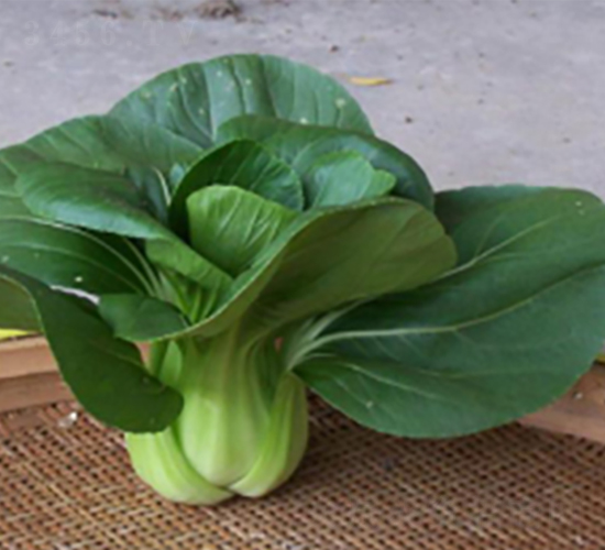 �L����̖(h��o)�๣��-�๣�˷N��-����r(n��ng)�I(y��)