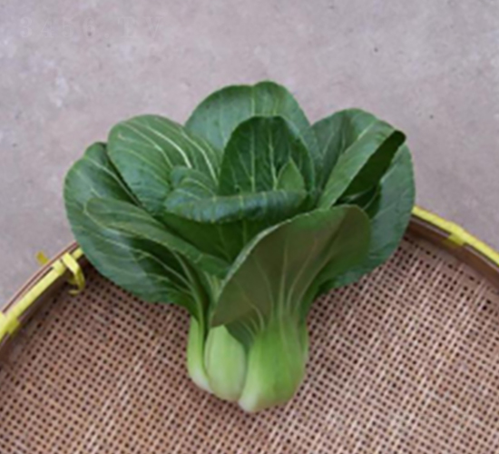 ������-�๣�˷N��-����r(n��ng)�I(y��)