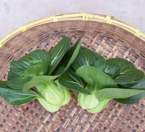 �����K����-�๣�˷N��-����r(n��ng)�I(y��)