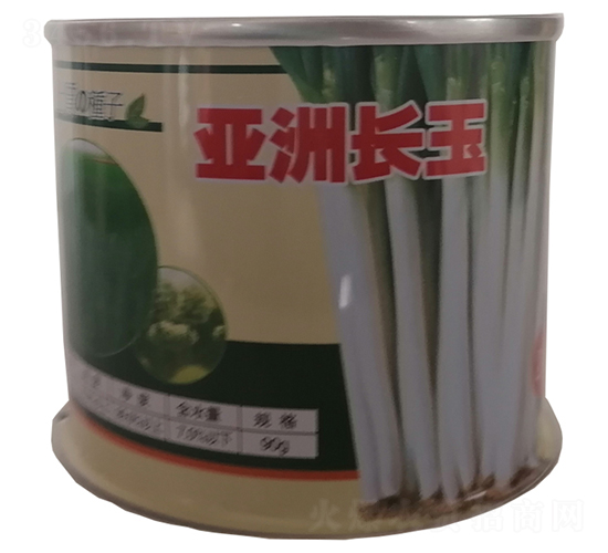 亞洲長玉-大蔥種子-鑫星農(nóng)業(yè)