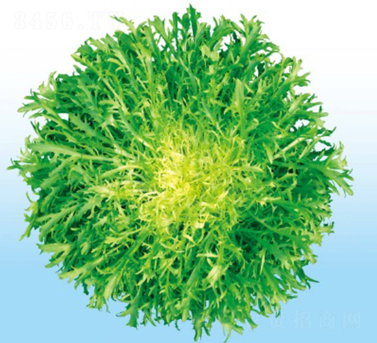 �������\����-��շN��-�A�߷N�I(y��)