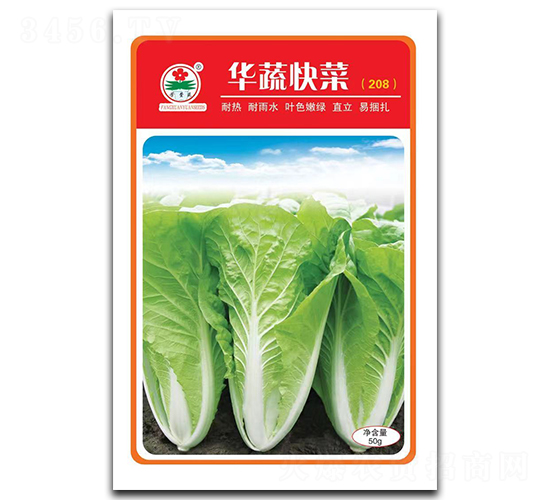 �A�߿��-��˷N��-�A�߷N�I(y��)