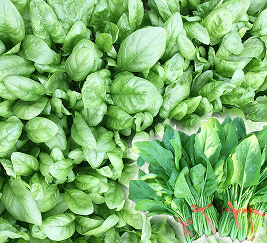 ���W�W-���˷N��-혳�