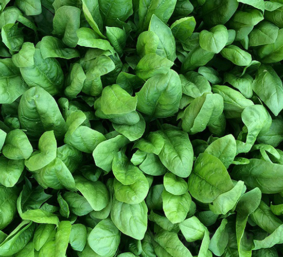 �W��-���˷N��-혳�