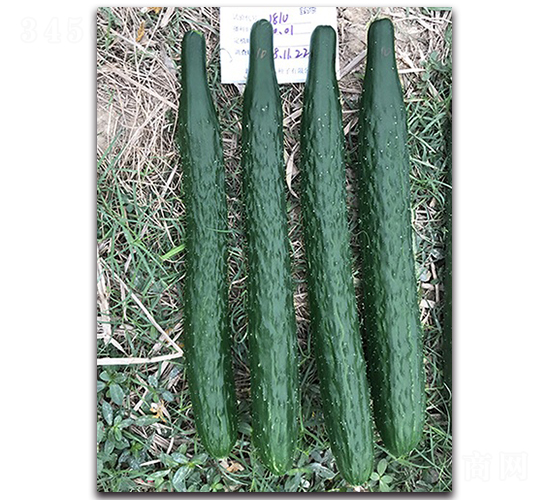 ����78-�S�ϷN��-혳�