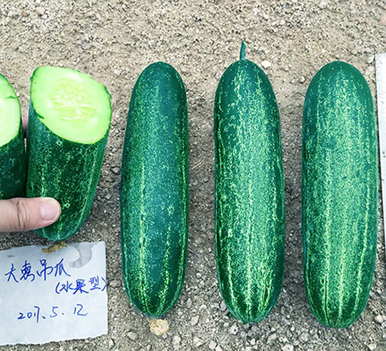 ���-�S�ϷN��-혳�